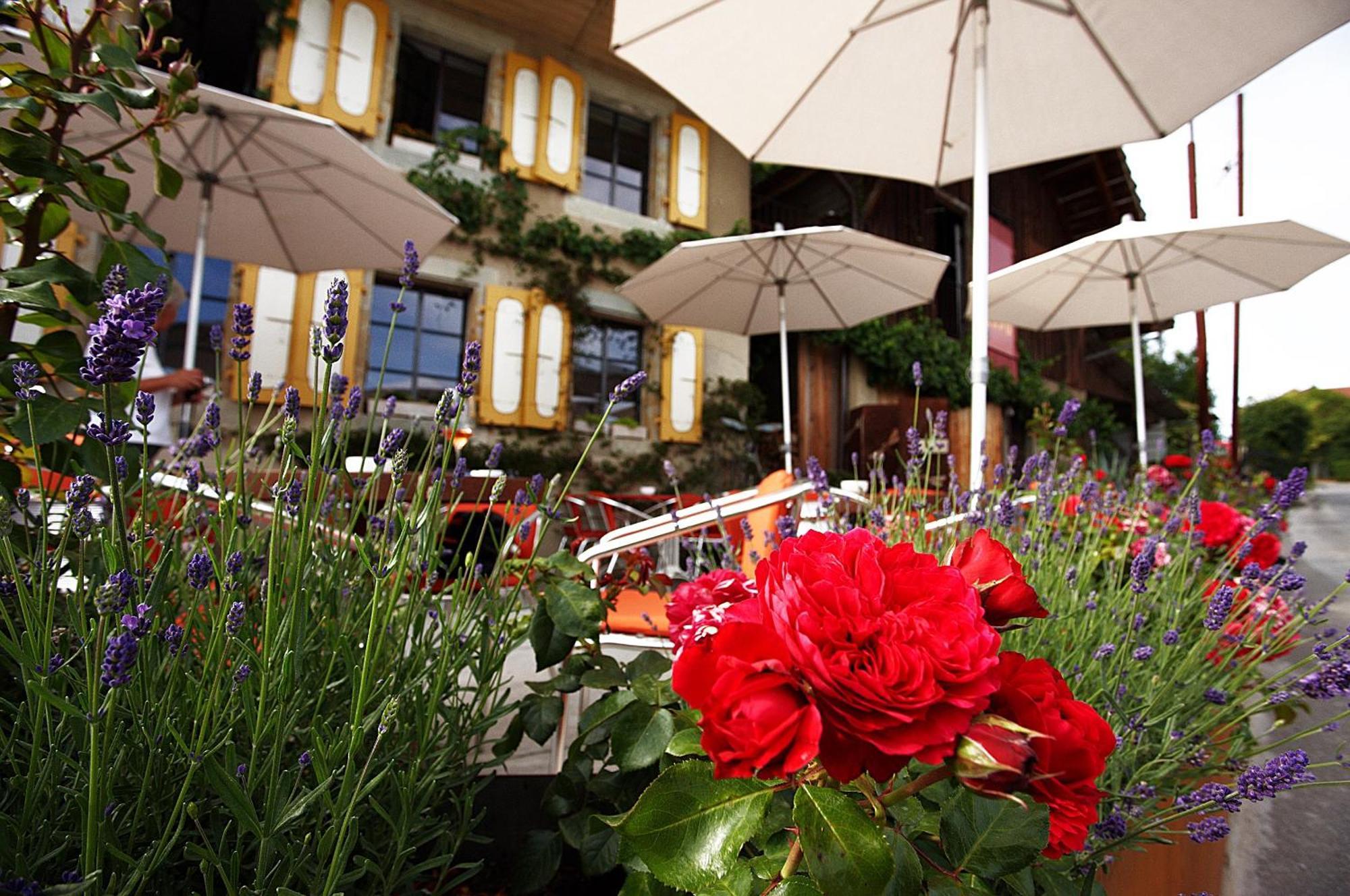 Bnb Belle5 Vully-les-Lacs Buitenkant foto